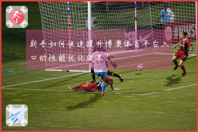 新手如何快速提升博澳体育平台入口的性能优化效果？