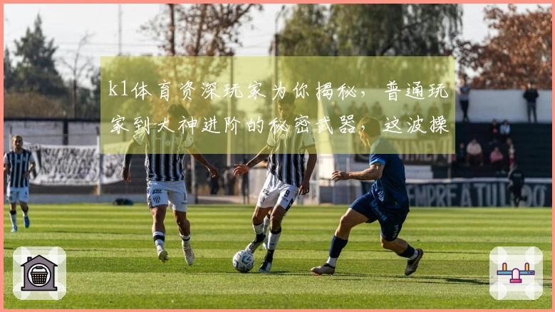 k1体育资深玩家为你揭秘，普通玩家到大神进阶的秘密武器，这波操作赶紧学起来！